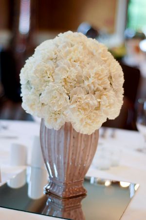 RachelBrown Flowers - white carnations.jpg